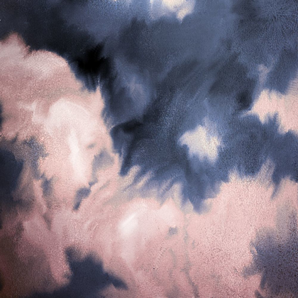 Picture of NAVY PINK PASSION