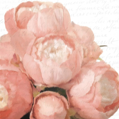 Picture of SOFT PINK PEONY BUNCH
