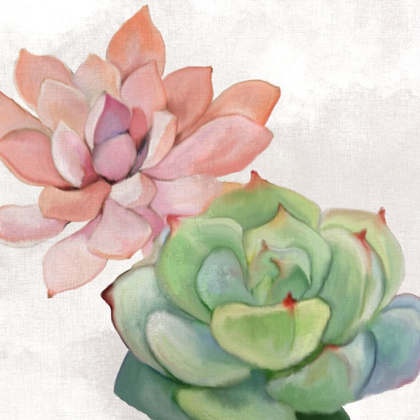 Picture of SUCCULENT SUMMER 1