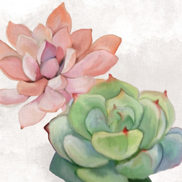 Picture of SUCCULENT SUMMER 1