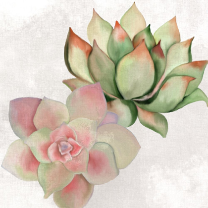 Picture of SUCCULENT SUMMER 2