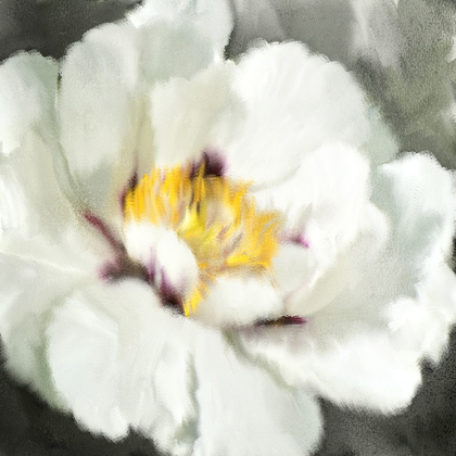 Picture of LOVE BLOOMS