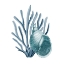 Picture of COASTAL CORAL 4