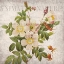 Picture of VINTAGE FLORAL 1