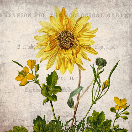 Picture of VINTAGE FLORAL 2