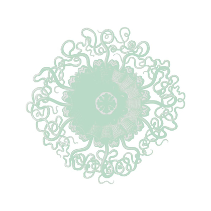 Picture of MINT SPIRALS 2