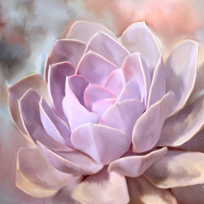 Picture of PAINTED SUCCULENT 1