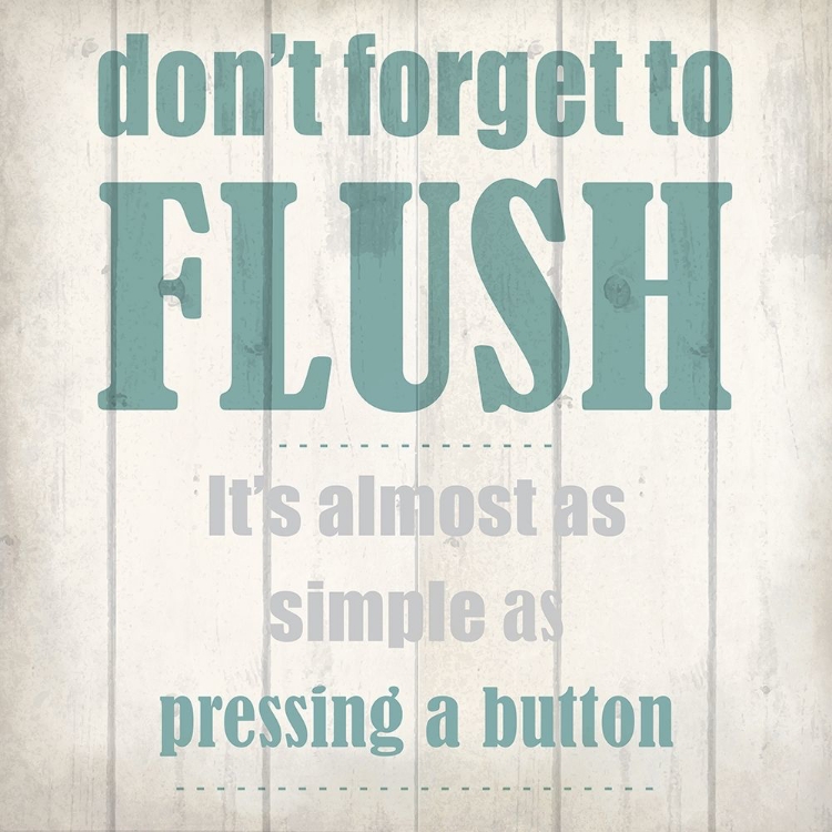 Picture of FLUSH