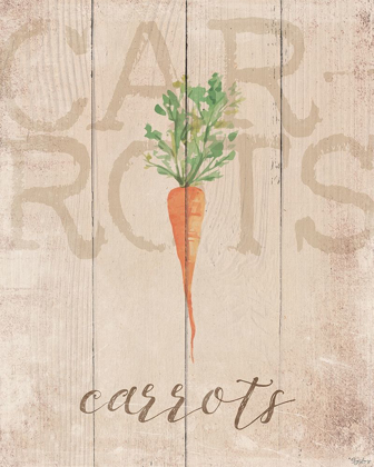 Picture of CARROTS