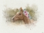Picture of WATERCOLOR HORSE