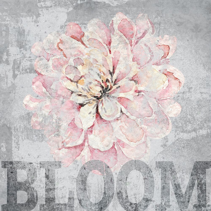 Picture of FLOWER BLOOM