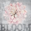Picture of FLOWER BLOOM