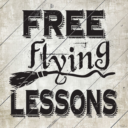 Picture of FREE FLYING LESSONS
