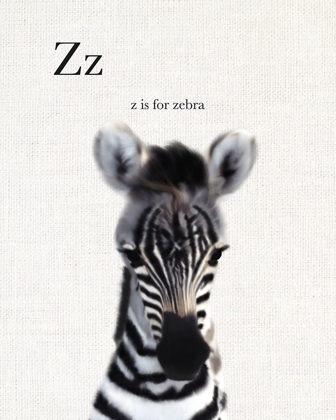 Picture of BABY ZEBRA LINEN