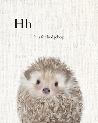 Picture of BABY HEDGEHOG LINEN