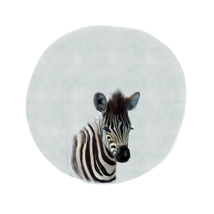 Picture of BABY ZEBRA GRAY