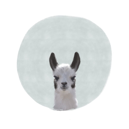 Picture of BABY CIRCLE LLAMA GRAY