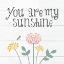 Picture of BOTANICAL INSPIRATION PASTELS 1