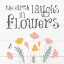 Picture of BOTANICAL INSPIRATION PASTELS 5