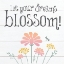 Picture of BOTANICAL INSPIRATION PASTELS 6