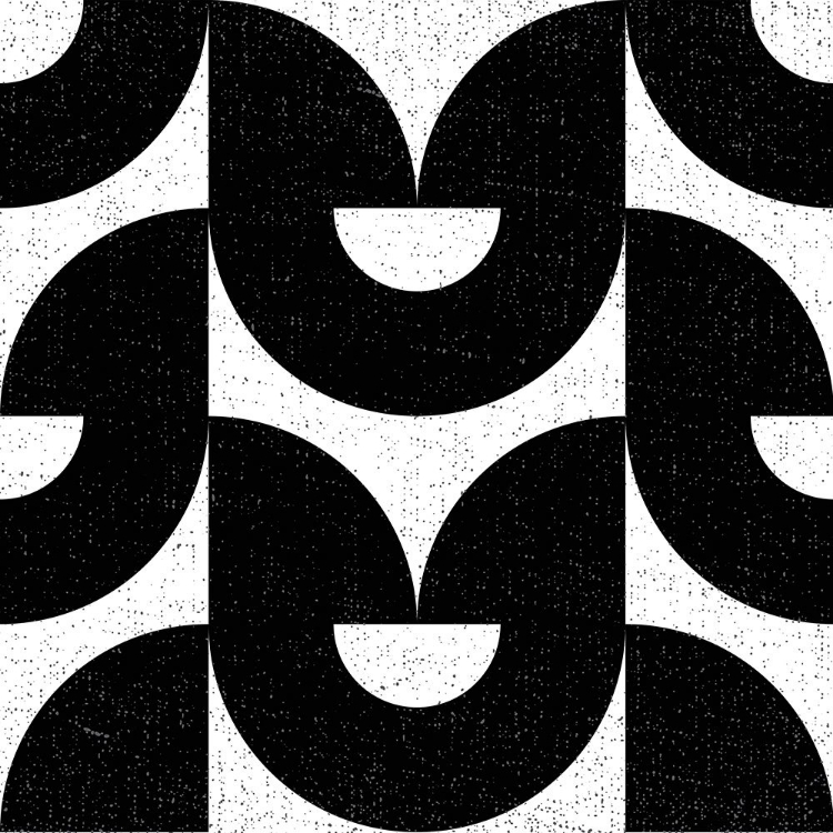 Picture of OVERSIZED ABSTRACTS BW 1