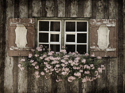 Picture of WELCOMING WINDOW 1