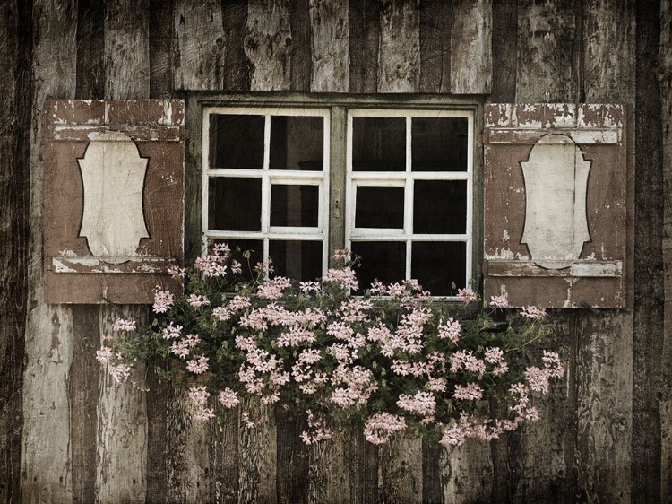 Picture of WELCOMING WINDOW 1