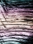 Picture of FLUORESCENT WAVE 1
