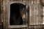 Picture of LOVING PEEK 1