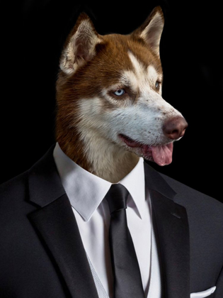 Picture of WALLSTREET WOLF