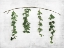 Picture of HANGING LEAVES ON WALL