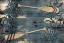 Picture of BLUE WALL OARS