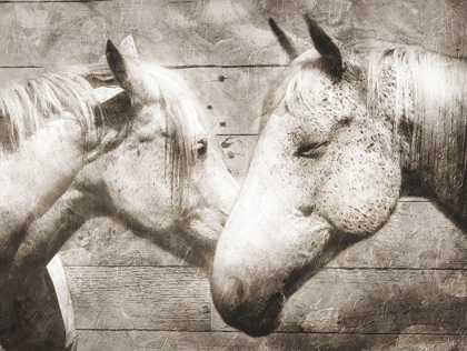 Picture of LOVE HORSES