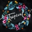 Picture of TROPICAL REEF