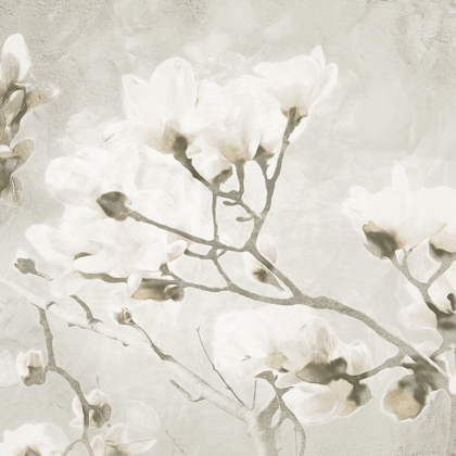 Picture of CREAM TREE OF WHITE FLOWERS 2