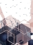 Picture of GEO BIRDS 3