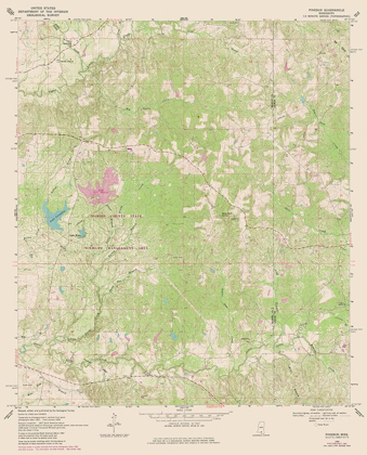 Picture of PINEBUR MISSISSIPPI QUAD - USGS 1969