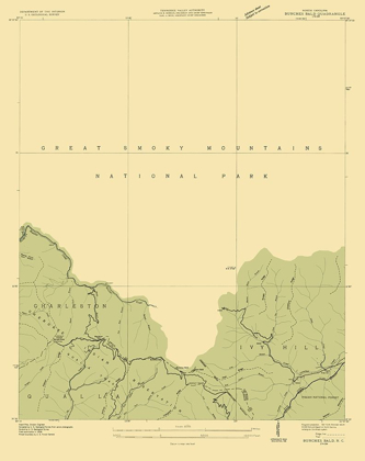 Picture of BUNCHES BALD NORTH CAROLINA QUAD - USGS 1935