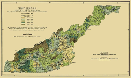 Picture of WESTERN NORTH CAROLINA FOREST CONDITIONS 1909