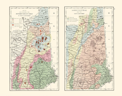 Picture of NEW HAMPSHIRE AGRICULTURAL - HITCHCOCK 1877