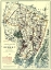 Picture of BERGEN NEW JERSEY - COLTON 1896