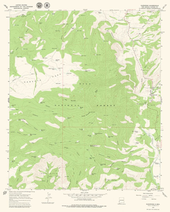 Picture of GLENWOOD NEW MEXICO QUAD - USGS 1965