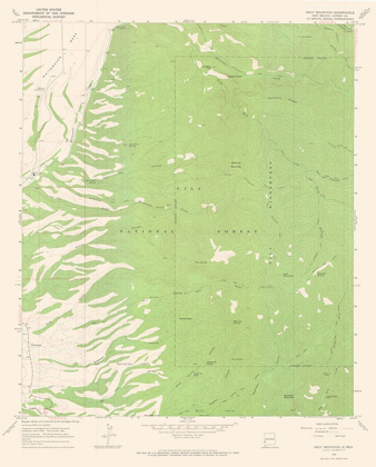 Picture of HOLT MOUNTAIN NEW MEXICO QUAD - USGS 1965