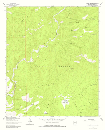 Picture of O BLOCK CANYON NEW MEXICO QUAD - USGS 1963