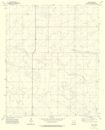 Picture of PEP NEW MEXICO QUAD - USGS 1972