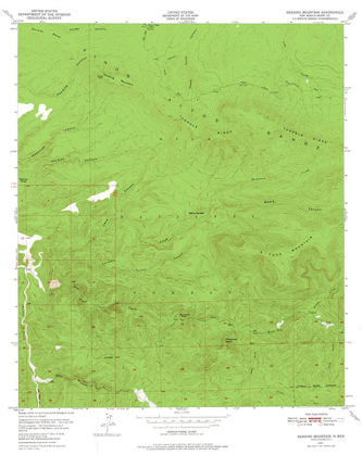 Picture of READING MOUNTAIN NEW MEXICO QUAD - USGS 1950