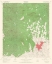 Picture of SILVER CITY NEW MEXICO QUAD - USGS 1950