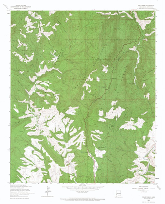 Picture of SALIZE PASS NEW MEXICO QUAD - USGS 1963
