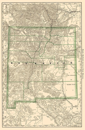 Picture of NEW MEXICO - RAND MCNALLY 1879