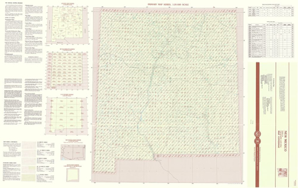 Picture of NEW MEXICO NEW MEXICO INDEX QUAD - USGS 1983